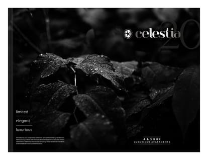 Celestia 20 Brochure Image 2