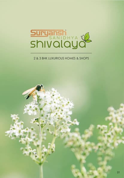 Suryansh Sanidhya Shivalaya Brochure Image 1