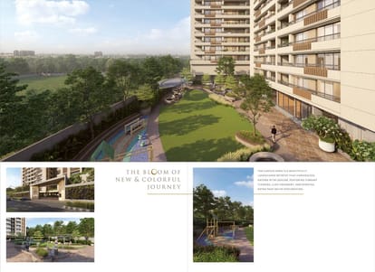 Ombre Brochure Image 15