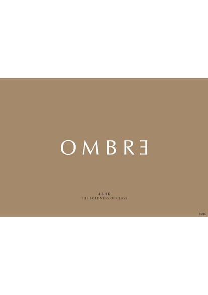 Ombre Brochure Image 1
