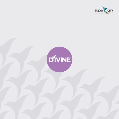 Shrinivas Divine Brochure Image 1