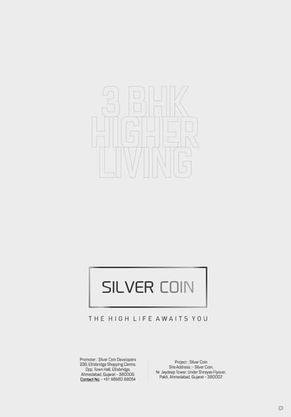Silver Coin Brochure Image 1