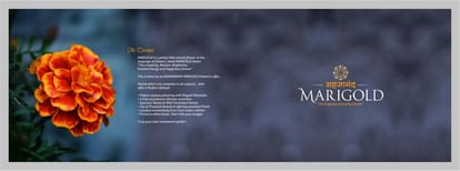 Sahajanand merigold Brochure Image 2