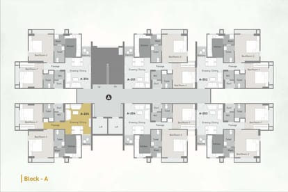 Myco Akeelah Brochure Image 12