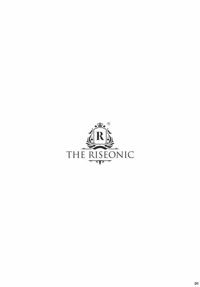 The Riseonic Brochure Image 1