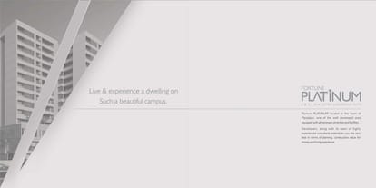 Fortune Platinum Brochure Image 2