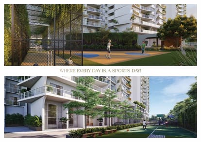 Sorrento Rosette Brochure Image 9