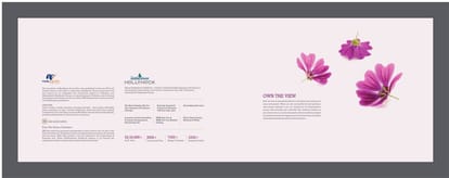 Shree Siddheshwar Hollyhock Brochure Image 2