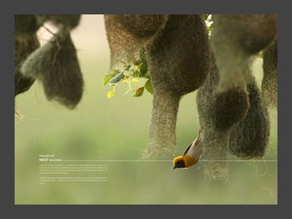 Trinetra Silvernest Brochure Image 2