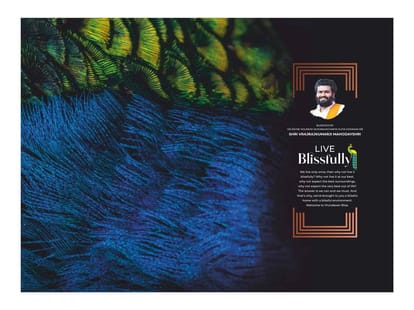 Vrundavan Bliss Brochure Image 2