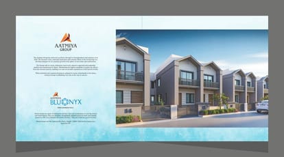 BluOnyx Phase 2 Brochure Image 2