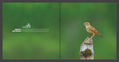 Aarana Luxuria Brochure Image 2