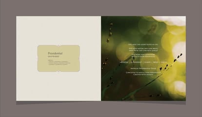 Asopalav Presidential Villa Brochure Image 2