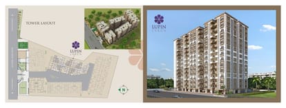 Lupin Larch Brochure Image 2