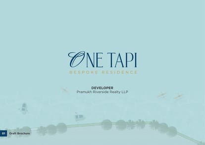 One Tapi Brochure Image 1