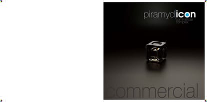 Piramyd Icon Brochure Image 2