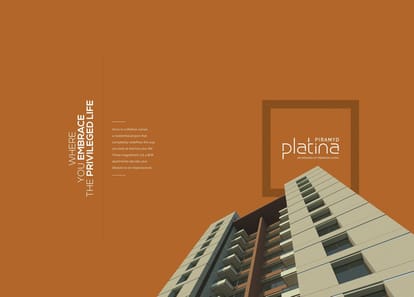 Piramyd Platina Brochure Image 2
