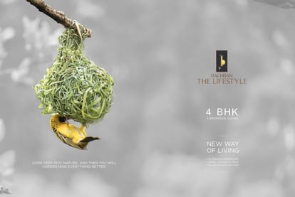 The Lifestyle Brochure Image 2