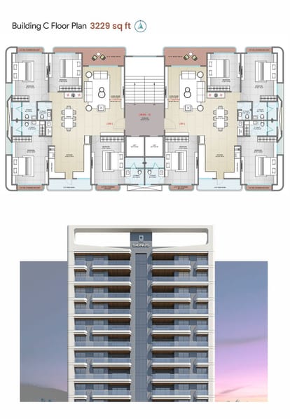 DMD Signus Brochure Image 3
