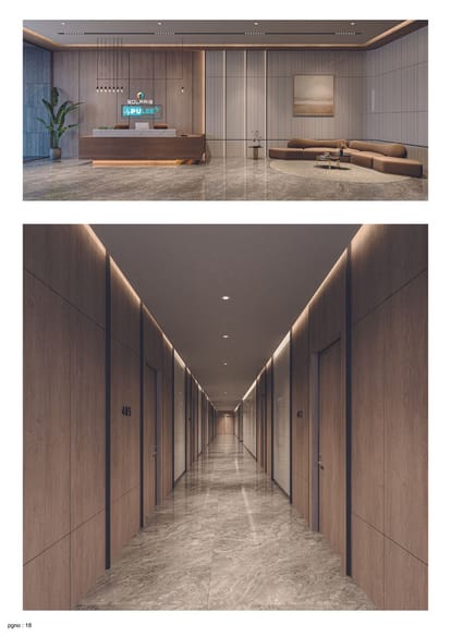 Solaris Pulse Brochure Image 18