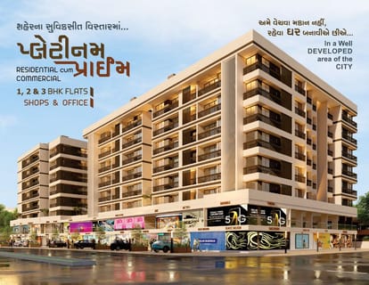 Platinum Prime Brochure Image 1
