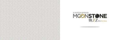 Vardhaman Moonstone Buzz Brochure Image 2