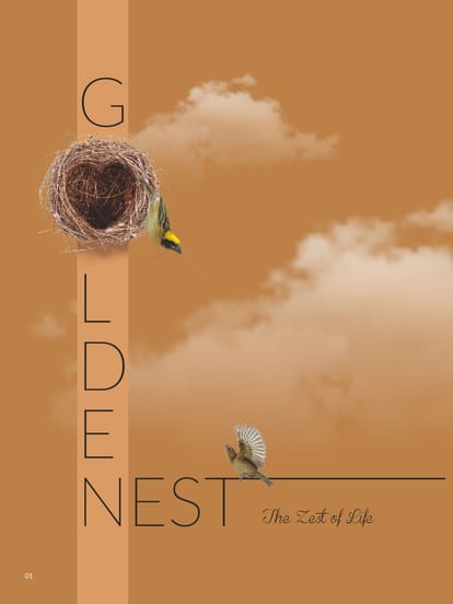 Shreenath Golden Nest Brochure Image 1