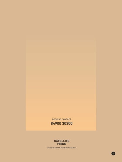 Satellite Pride Brochure Image 8