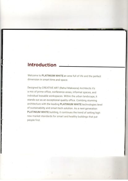 Platinium White Brochure Image 4