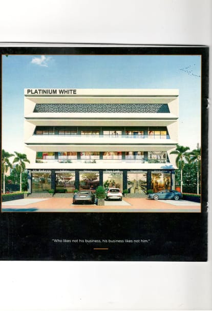 Platinium White Brochure Image 7