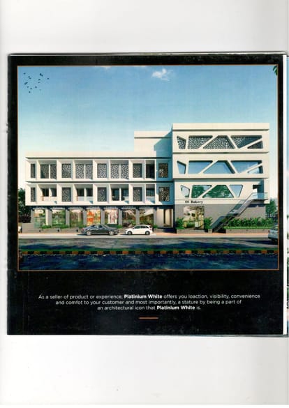 Platinium White Brochure Image 8