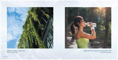 Today Codename Bellevue Brochure Image 16