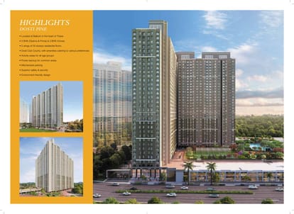 Dosti Pine Brochure Image 11