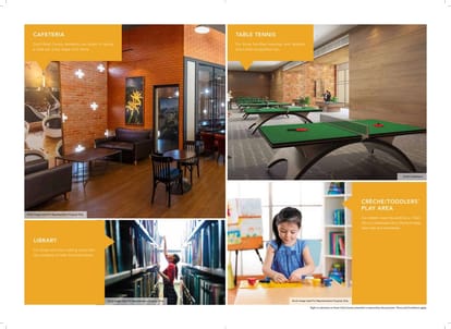 Dosti Pine Brochure Image 19