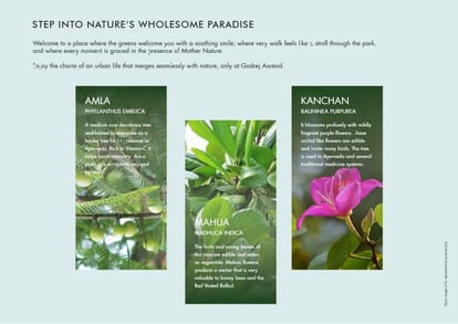 Godrej Ascend Brochure Image 30
