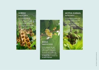 Godrej Ascend Brochure Image 31