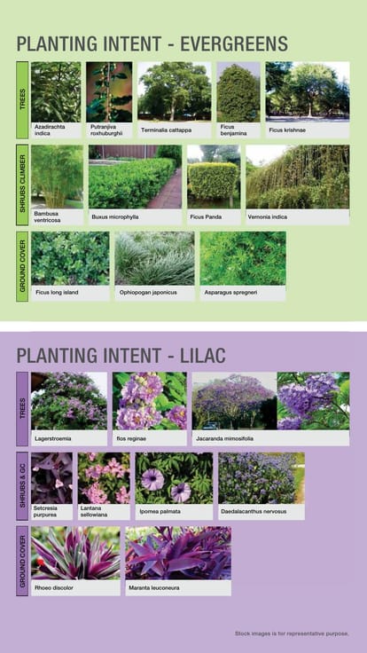 Godrej Nurture Brochure Image 38