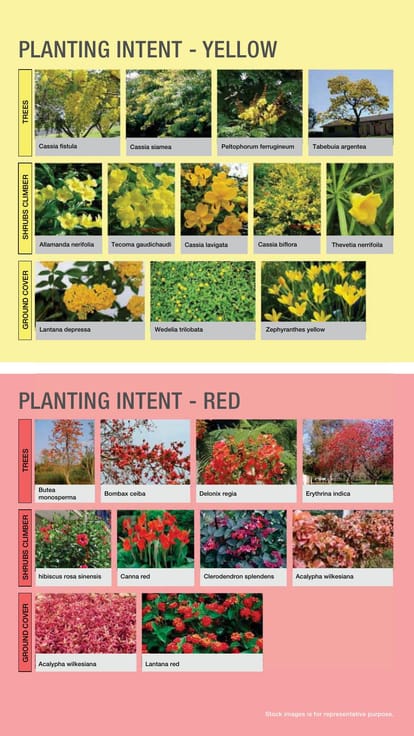 Godrej Nurture Brochure Image 41