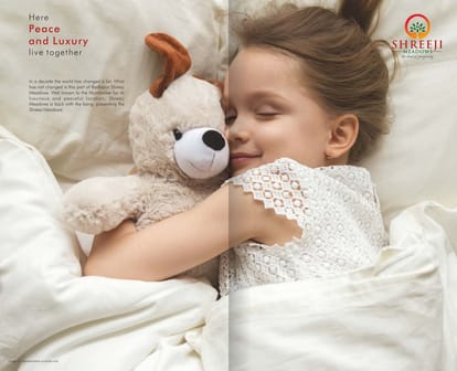 Shreeji Meadows Brochure Image 3