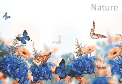 JP North Imperia Brochure Image 20