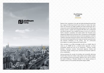 Platinum Solitaire Brochure Image 15