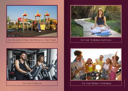 Dem Phoenix Brochure Image 5