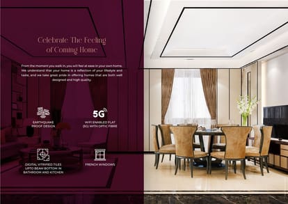 Dem Phoenix Brochure Image 7