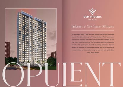 Dem Phoenix Brochure Image 2