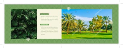 Provident Palmvista Brochure Image 7