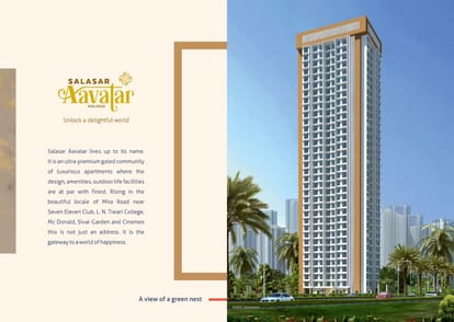 Salangpur Salasar Aavatar Brochure Image 2