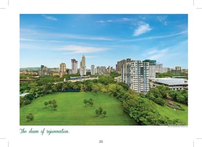 Rejuve 360 Brochure Image 6