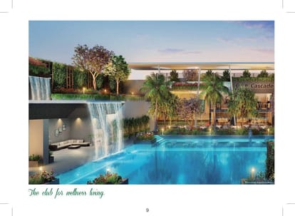 Rejuve 360 Brochure Image 12