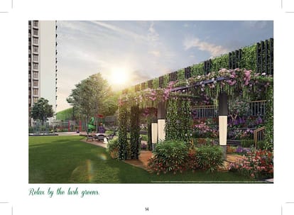 Rejuve 360 Brochure Image 17