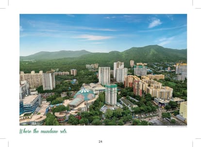Rejuve 360 Brochure Image 7